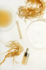 Abstract cosmetic laboratory. Nature cosmetics with sea moss. Chemical laboratory research.