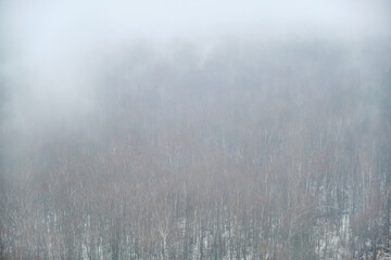 Evaporation of moisture over a winter forest with trees in the snow. Fog on snow-covered nature in a bleak landscape