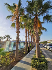 Fototapeta premium View of the walking road with palm trees in Kusadasi, Turkey. The girl is walking along the path.