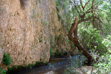 Waterfall landscape. Ayun's fall water stream. River Nahal Ayun . Nature Reserve and National park. Upper Galilee, Israel