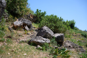 Landscapes and plants in the area of the Ayuna water stream. River Nahal Ayun. Reserve and national park. Upper Galilee, Israel