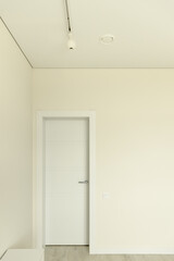 Part of a light-colored room, view of a closed door in an unfurnished room. The ceiling is light with lighting in the form of rail lighting. For real estate objects and the sphere of rental housing