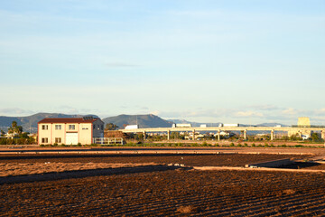Farmland and farm field in rural. Village house at agriculture field in countryside. Land horchata. Sowing grain and harvesting. Alboraya agriculture. Almácera​ Wineries and Vineyard. Olive soil..