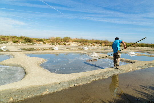 R&eacute;colte du sel par un paludier pouss&eacute; par un las, cristallisation de la saumure en surface d'un &oelig;illet. Marais salants de Noirmoutier