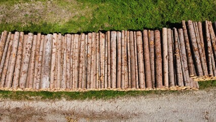 Fototapeta premium Pile of wood in the forest drone shot