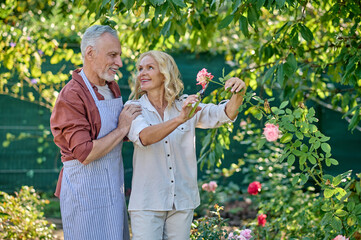 Man hugging woman cutting rose in garden