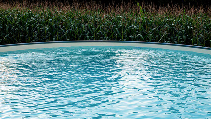Pool neben dem Maisfeld- Gartenpool, Landleben