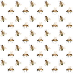 Seamless pattern with cute honey bees. Hand drawn watercolor illustration. Natural digital paper for beekeeper designs, prints, postcards, labels, textile, invitations, wrapping paper