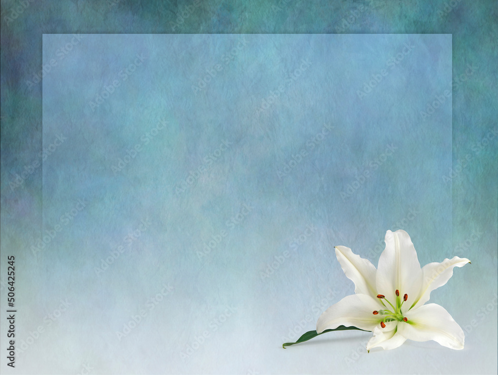 Wall mural white lily border frame announcement invitation advert template background - rustic grunge jade gree