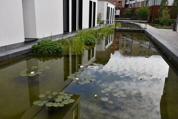 Petit canal fleuri à Malines. Belgique