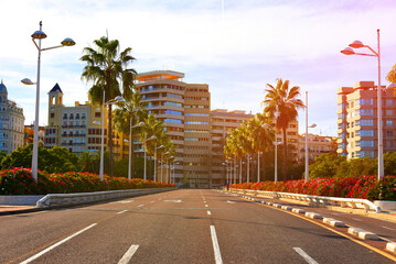 Road in city with of palm trees and residential buildings with apartments at sea. Empty road, no cars in city. Central street with gardens and flowers near city park near the Turia River, Valencia.