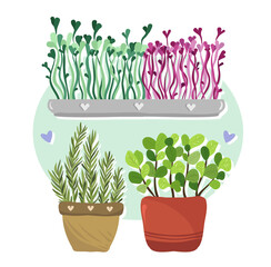 Home gardening.Vector illustration. Fragrant herbs, microgreens. Handmade, postcard, stickers, print on t-shirt