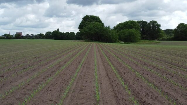 Landschaft Lingen Ems Emsland 