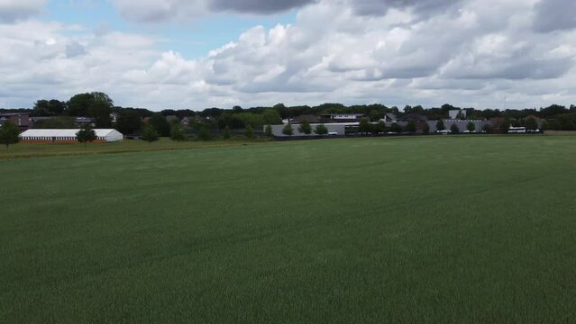 Weizenfeld im Wind 