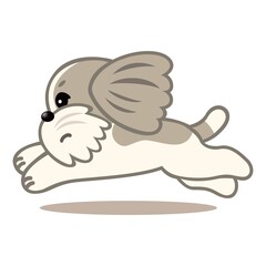 シーズー　走る