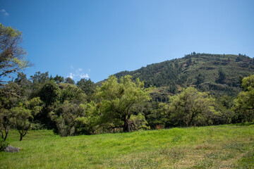 Pastizales en Limapampa, vista al cerro - San Marcos - Cajamarca