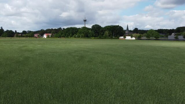 Weizenfeld im Wind 