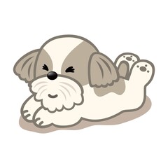 シーズー　笑う