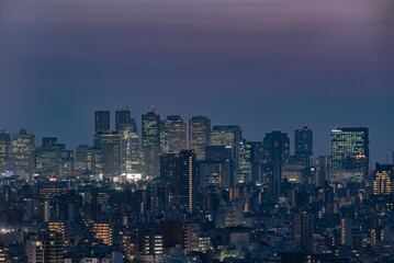 Fototapeta na wymiar The streets of Tokyo Japan at Night