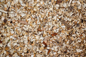 Close-up of a layer of sawdust from freshly sawn trees. Wood sawing waste used for heating.