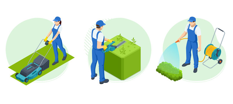 Isometric Agricultural work. Isometric gardener work on shrub, remove excess leave. Gardener trimming and landscaping green bushes. Watering, lawn mower
