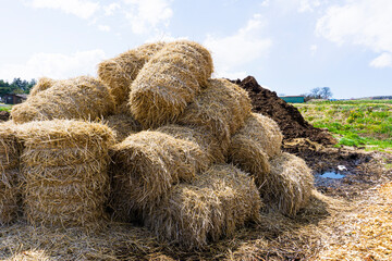 積み上げられた藁の山