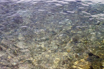 Acqua