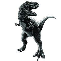 T-Rex Jurassic Dinosaur standing and growling. Original Black and White Vector Illustration isolated on White 