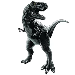Foto auf Acrylglas Zeichnung T-Rex Jurassic Dinosaurier stehend und knurrend. Ursprüngliche Schwarzweiss-Vektor-Illustration lokalisiert auf Weiß