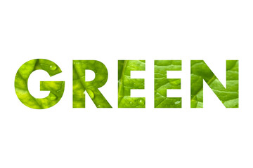 green eco word color nature bio