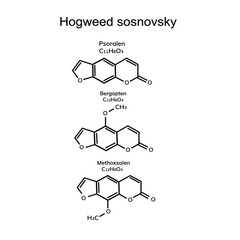 Chemical structural formulas on white background