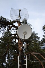 Communication antennas on a pole.