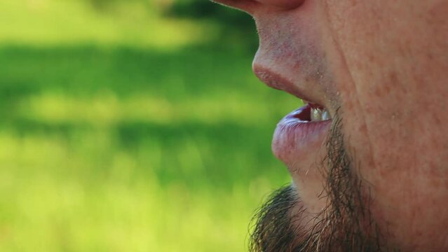 Portrait of young smoking iqos man closeup outdoor. Close up video of adult smoker in summer park
