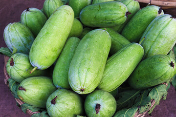 wax gourd stock on shop for sell