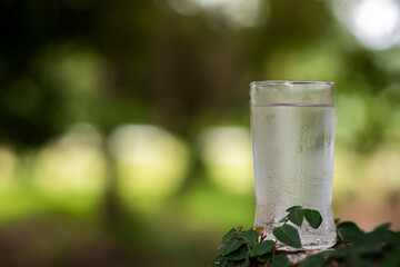 drinking glass and nature background