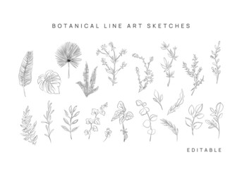 Line art drawing set, black sketch of botanica isolated on white background. Decorative beauty elegant illustration for design. Vector leafs. Minimalist prints or tatto.