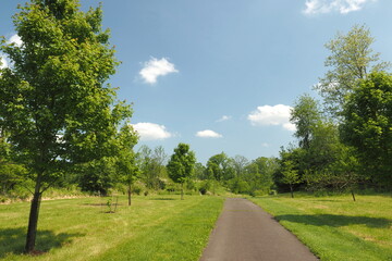 The path in the forest has some beautiful scenery.