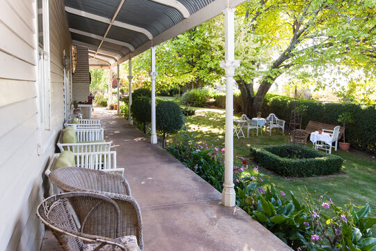 Backyard With Garden Of Flowers And A Big Tree.