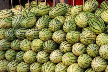 Fototapeta na wymiar watermelon Stock on shop for sell