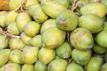 raw coconut stock on shop for sell
