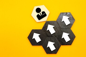 arrows follow the leader. the concept of following the leader