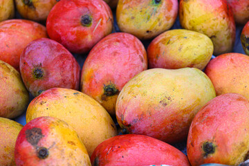 stylish ripe mango stock on shop