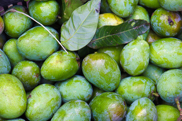 green raw mango stock on shop