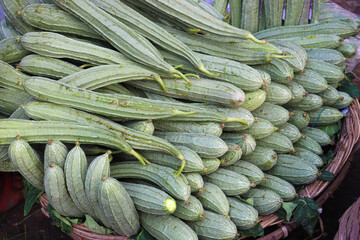 luffa gourd stock on shop for sell
