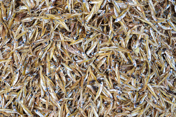 tasty dried and salted fish stock