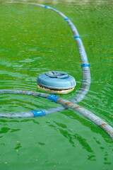 Flotador cloro, tubo robot depuradora, agua verde y suciedad en la piscina recién destapada. Necesario tratamiento de choque, clor y ph para limpiar el agua y preparar para los baños del verano