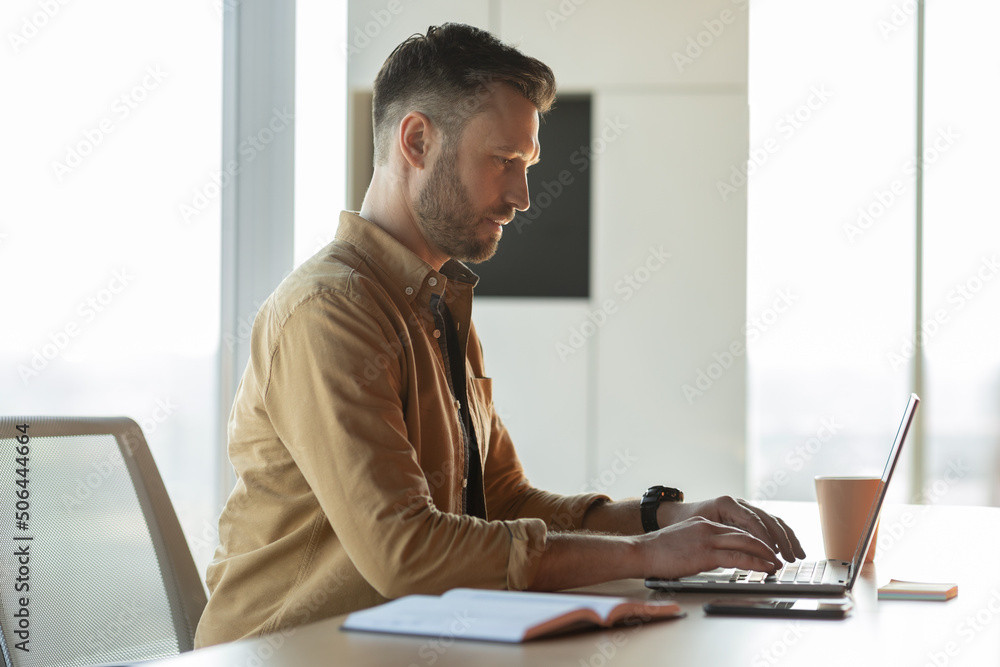 Poster side view of businessman typing using laptop working in office