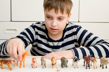 kid plays with plastic figurines of animals. Protection of animals. PETA. Children's toys giraffe, pig, goat, lion, cow, horse,