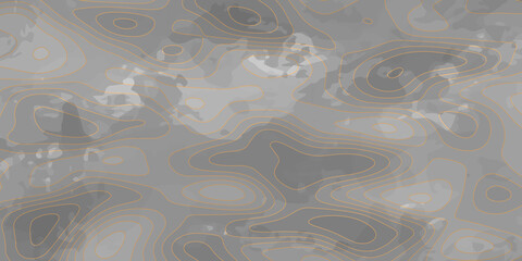 Topographic multicolored linear background for design, abstraction with place for text, Topographic background and texture, monochrome image.Abstract Geographic Curves Background.