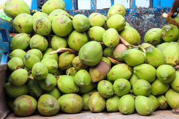 raw coconut stock on shop for sell